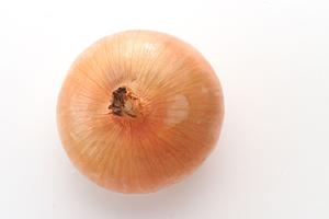 東京が誇るシーシャの専門店とは