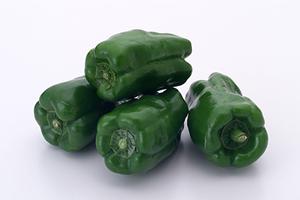 通販で海外食品を小売り販売している所