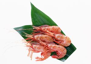 働きやすい環境が整っている場所です