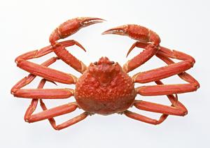 都心のオアシス！門前仲町の隠れた名店「りあす」の魅力を大公開