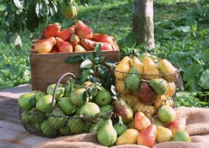 京都に観光の際は寄ってみましょう