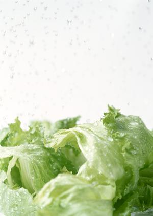 新橋の隠れ家個室居酒屋ガイド｜プライベート空間で楽しむ絶品料理とおもてなし