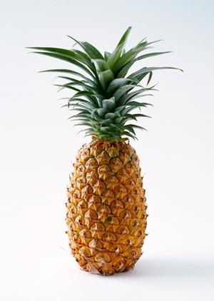 越谷市で楽しむ和食の絶品！最高の味と雰囲気を堪能