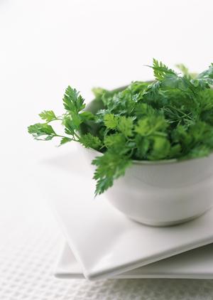 梅田阪神のシェイクシャック – 都会の中で味わう贅沢なハンバーガー体験